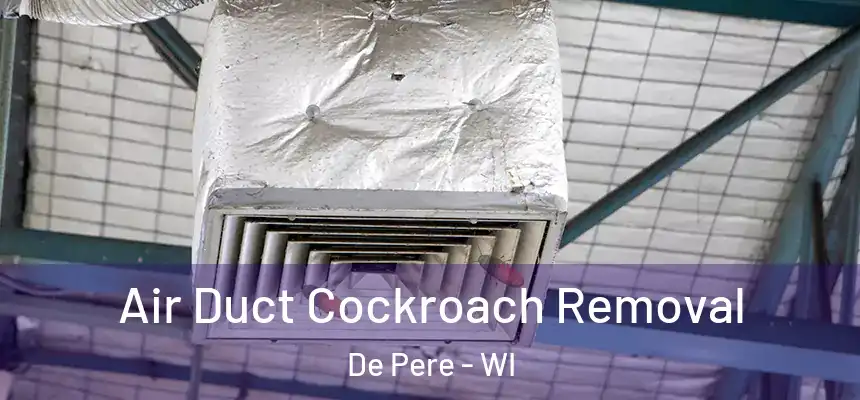  Air Duct Cockroach Removal De Pere - WI