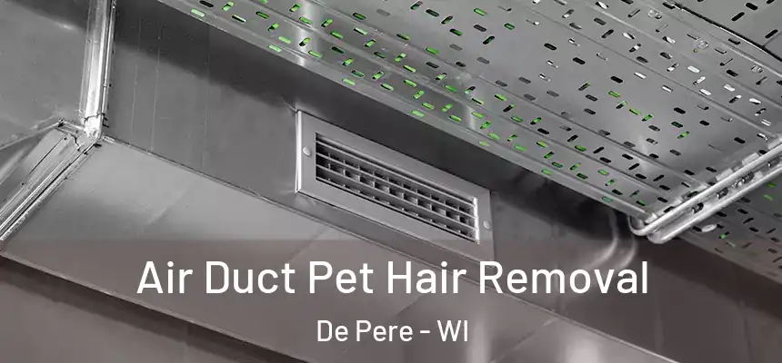 Air Duct Pet Hair Removal De Pere - WI
