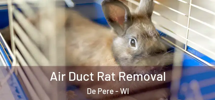 Air Duct Rat Removal De Pere - WI