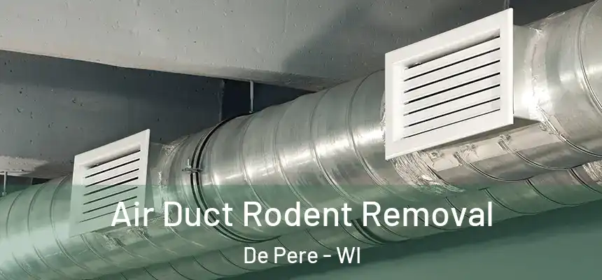  Air Duct Rodent Removal De Pere - WI