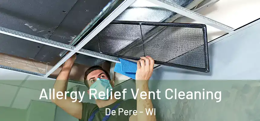 Allergy Relief Vent Cleaning De Pere - WI