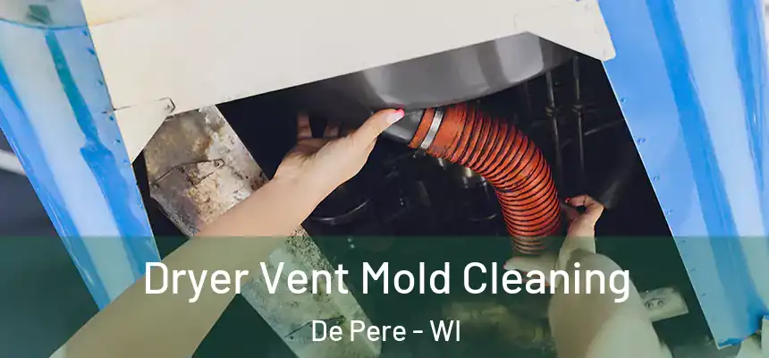 Dryer Vent Mold Cleaning De Pere - WI