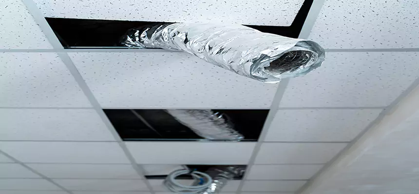 Our Air Duct Pet Hair Removal Services in De Pere, WI