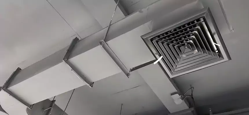 Restorative Allergy Relief Vent Cleaning – Coil, Blower & Housing Detail in De Pere