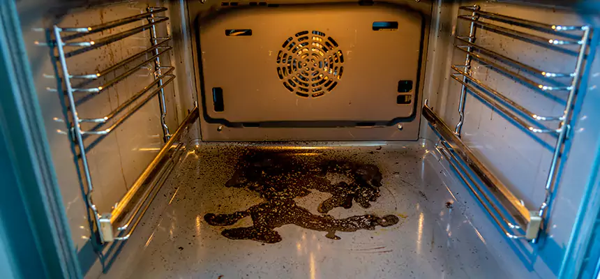 Our Dryer Vent Mold Cleaning Services in De Pere, WI