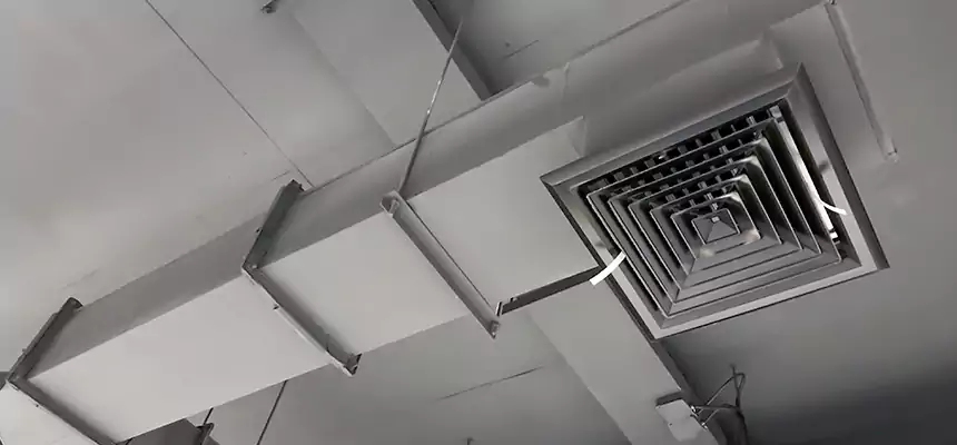 Our Rodent Droppings In Vents Services in De Pere, WI