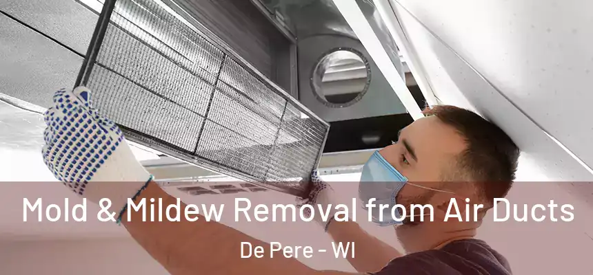  Mold & Mildew Removal from Air Ducts De Pere - WI