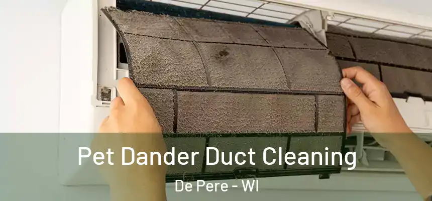 Pet Dander Duct Cleaning De Pere - WI