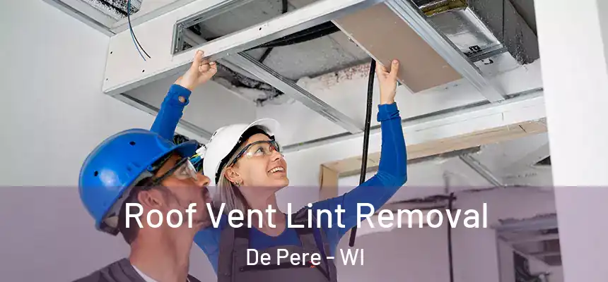  Roof Vent Lint Removal De Pere - WI