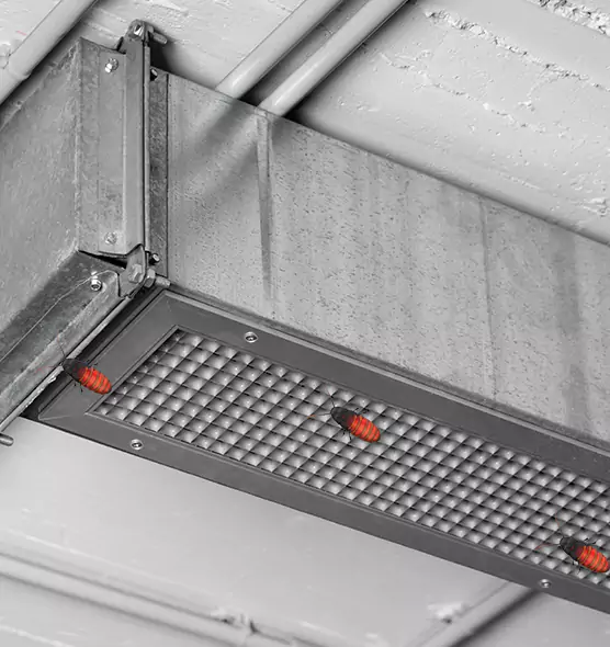 About Air Duct Cockroach Removal in De Pere, WI