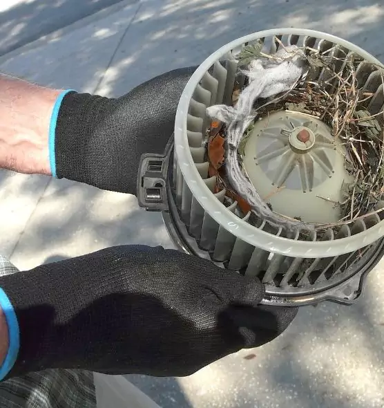 About Air Duct Mice Removal in De Pere, WI