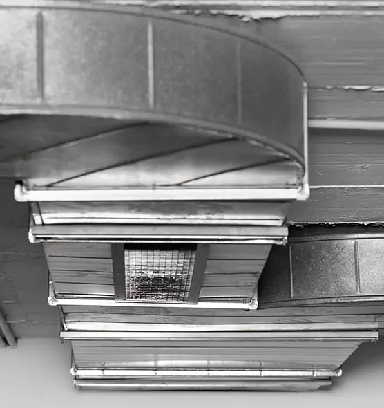 Professional Air Duct Pest Removal in De Pere, WI