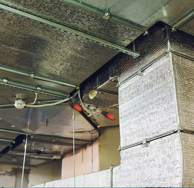 Why Homeowners & Businesses Trust Us in De Pere, WI?