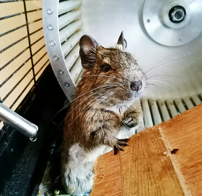 Why Homeowners & Businesses Trust Us De Pere, WI