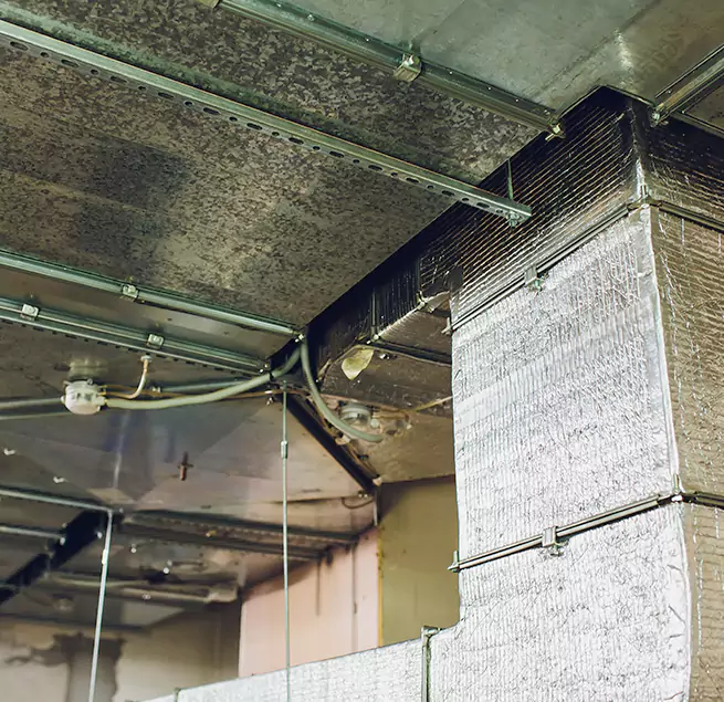 Why Homeowners & Businesses Trust Us in De Pere, WI?